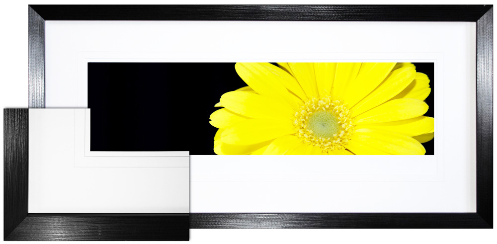 FP082 Wall décor art framed print floral black frame